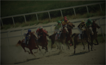 Horse Racing Hero Mobile